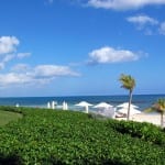 Thumbnail image for Food Blog Camp – Cancun