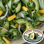 Thumbnail image for Tropical California Avocado Salad