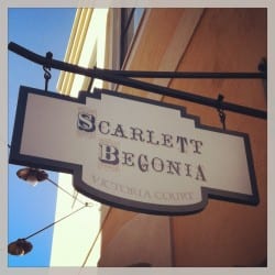 scarlett begonia