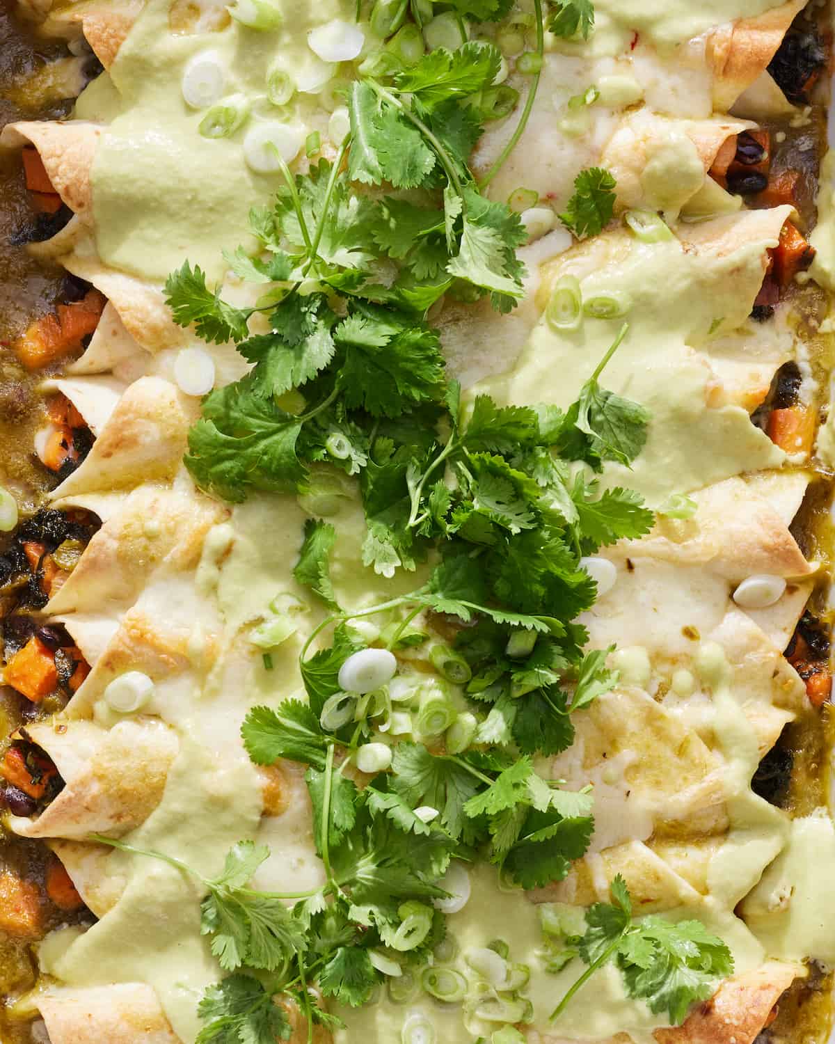 Close-up shot of vegetarian enchiladas with sweet potato kale and black beans garnished with coriander and scallions.