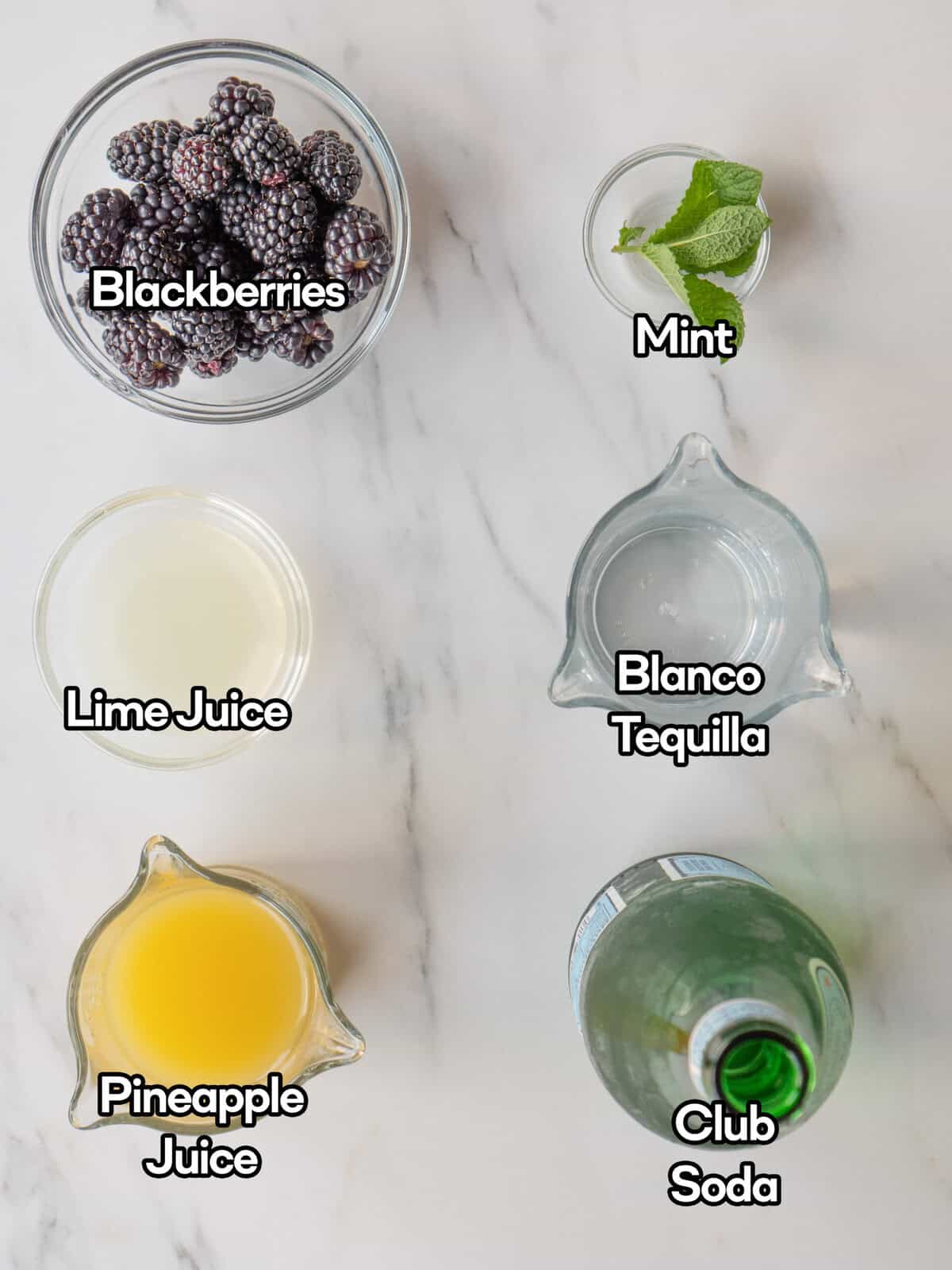 Ingredients for a cocktail recipe