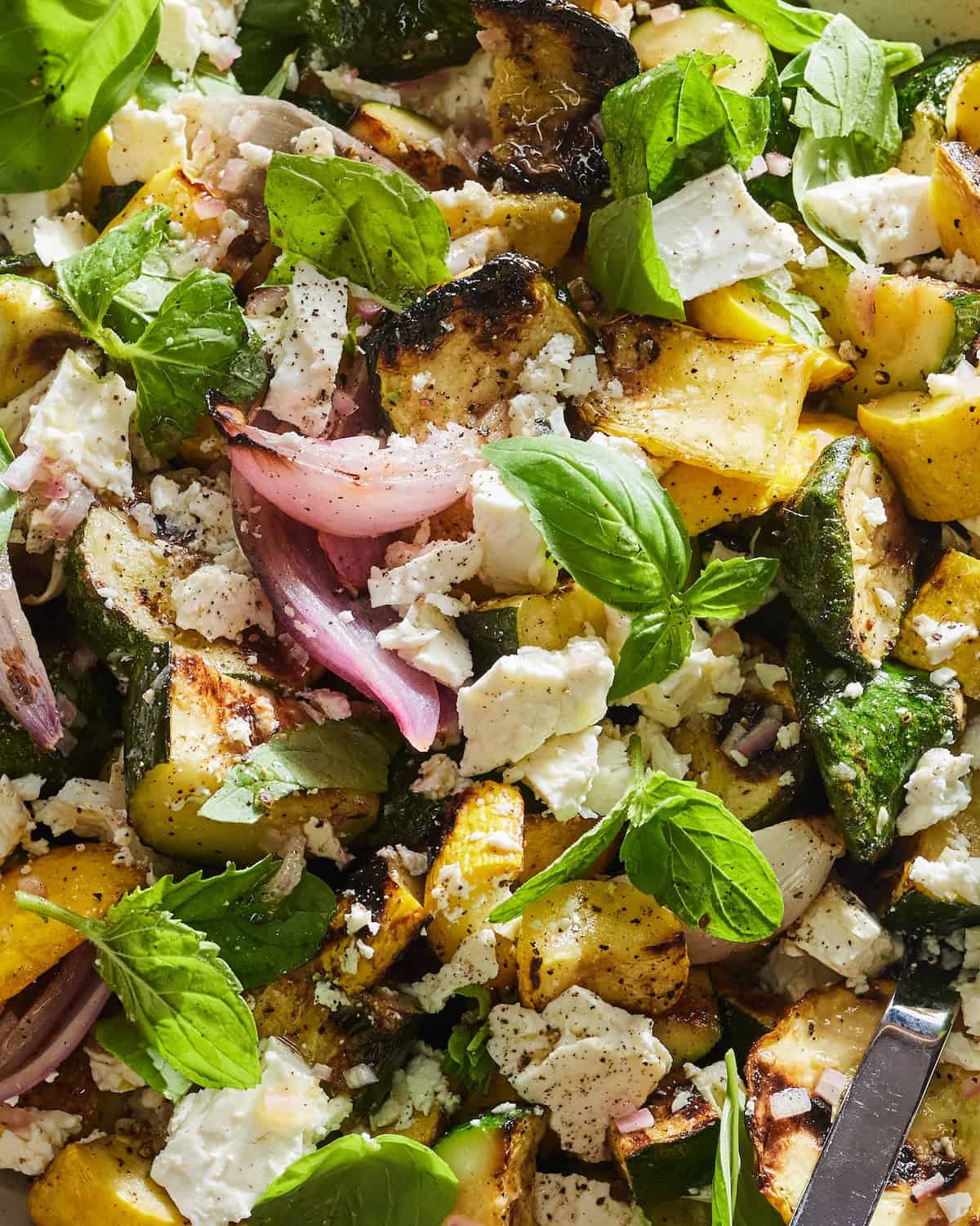 Close up of Grilled Summer Squash