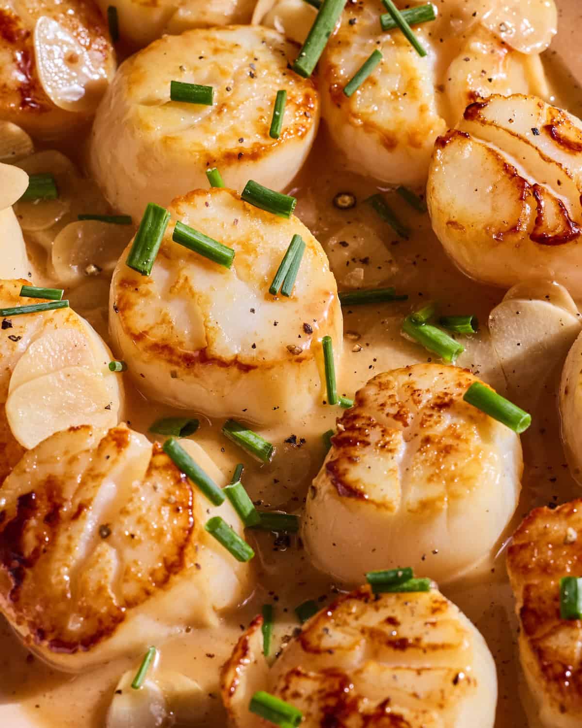 how to cook scallops