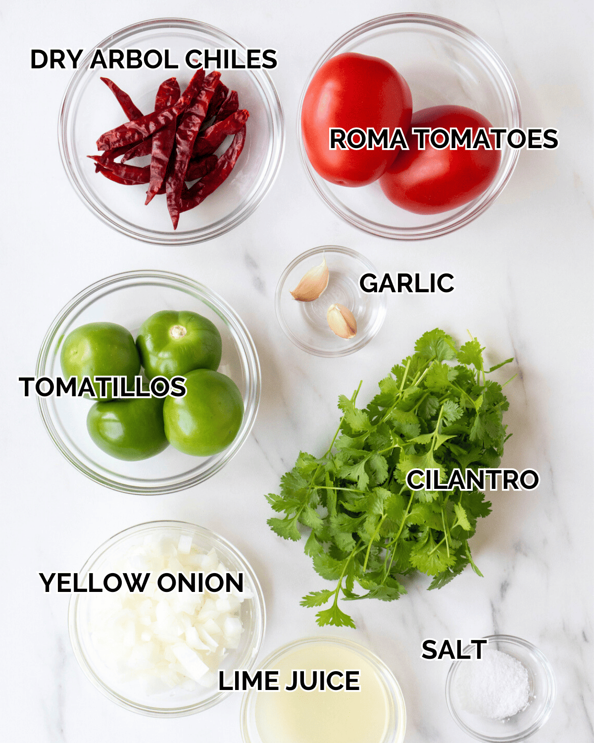Ingredient shot of each ingredient in individual clear bowls such as Roma tomatoes, dry arbol chiles, tomatillos, garlic cloves, cilantro, yellow onion, lime juice, and salt on a white countertop. 