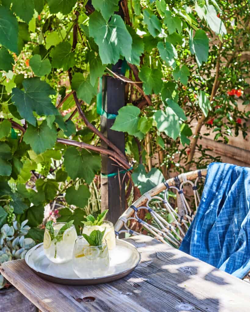 Easy White Wine Spritzer What's Gaby Cooking