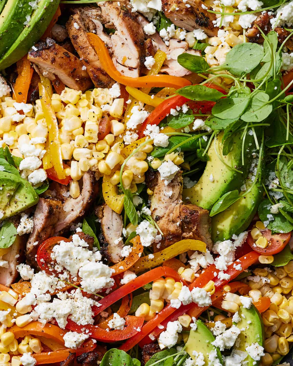 Closeup of a Chicken Fajita cobb salad, with the shredded chicken, avocado, corn, peppers, greens and feta.