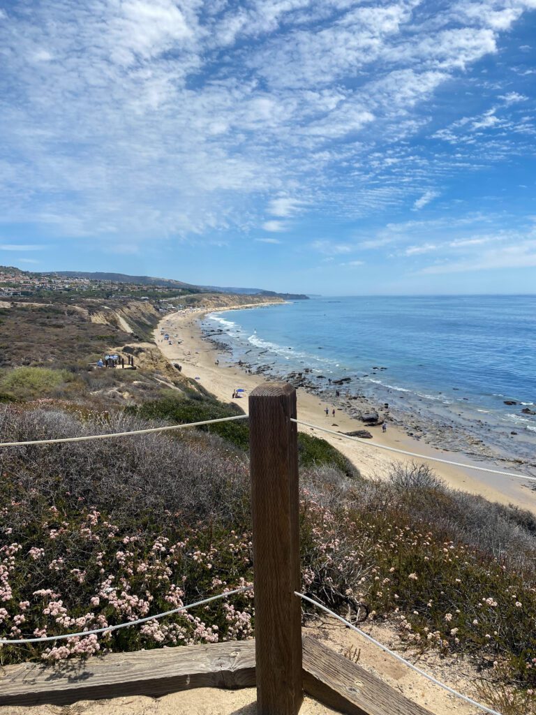 Crystal Cove Guide to Newport