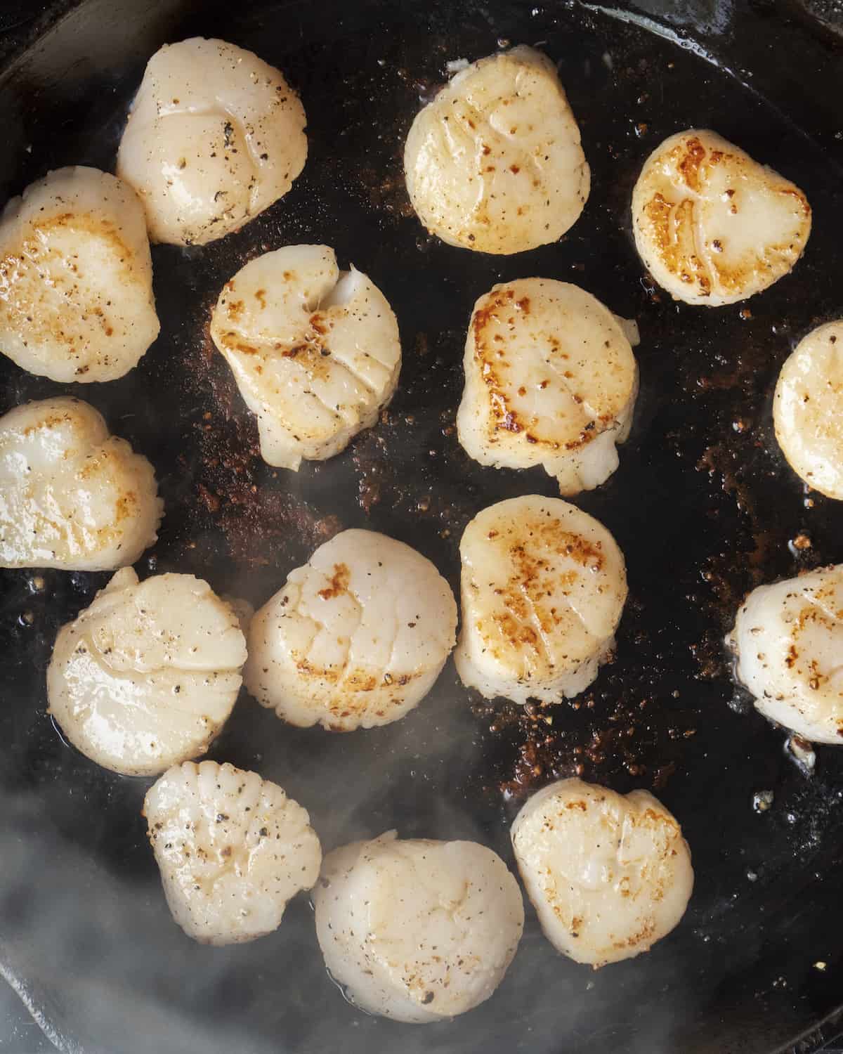 15 seared scallops on a cast iron skillet