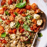 A tight shot of orzo pasta salad with jammy tomatoes, fresh basil leaves, and small mozzarella balls tossed in a balsamic vinaigrette.