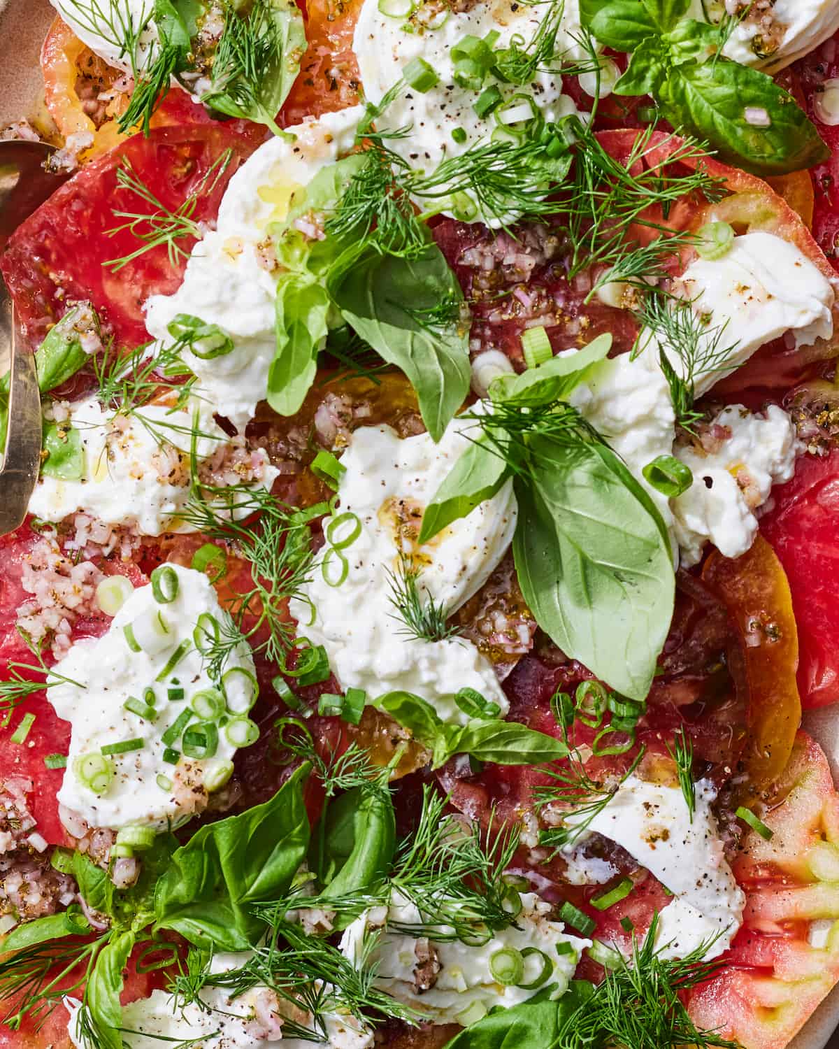A close up shot of tomatoes, herbs, burrata, basil, and cracked pepper.  