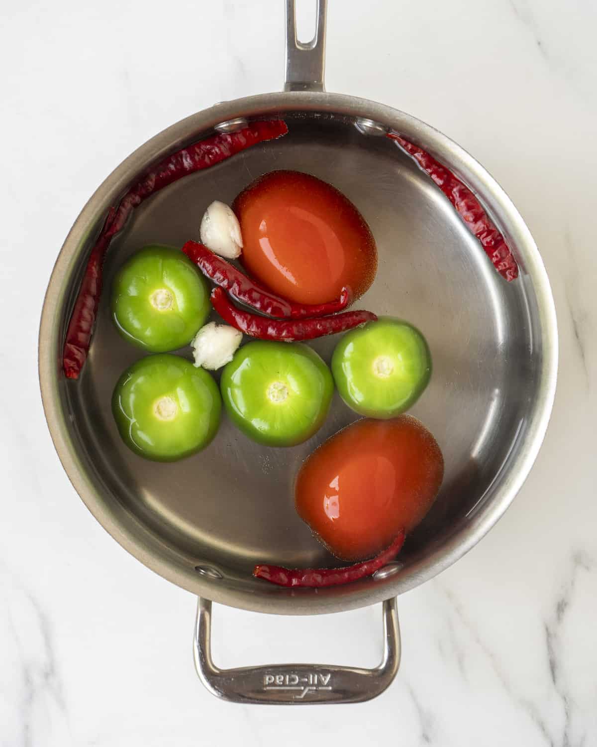 A pot filled with water, dry chilies, tomatillos, tomatoes, and garlic cloves on a white countertop. 