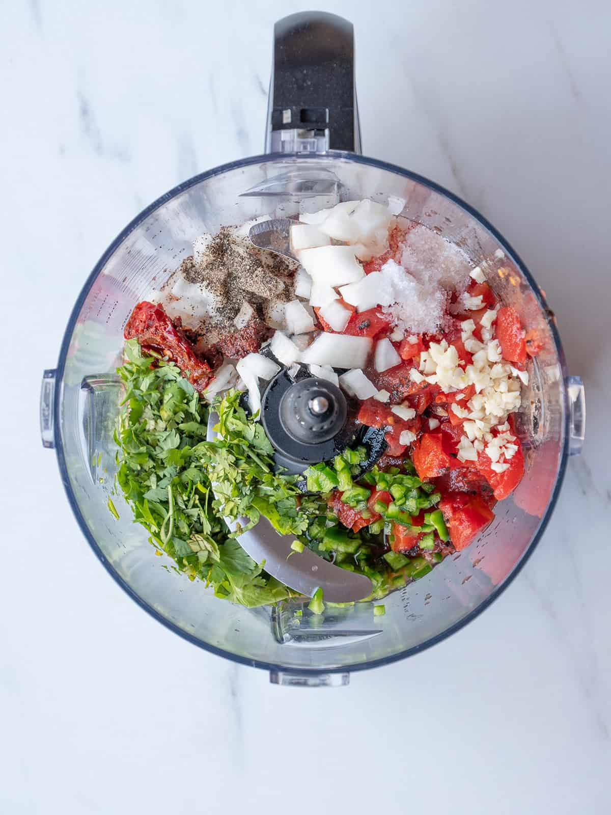 Ingredients for salsa in blender