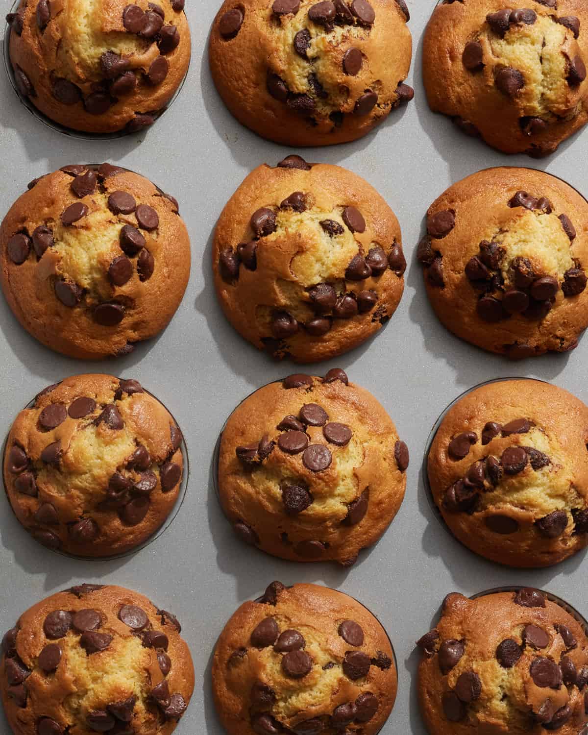 12 Chocolate Chip Muffins in a muffin tray.  
