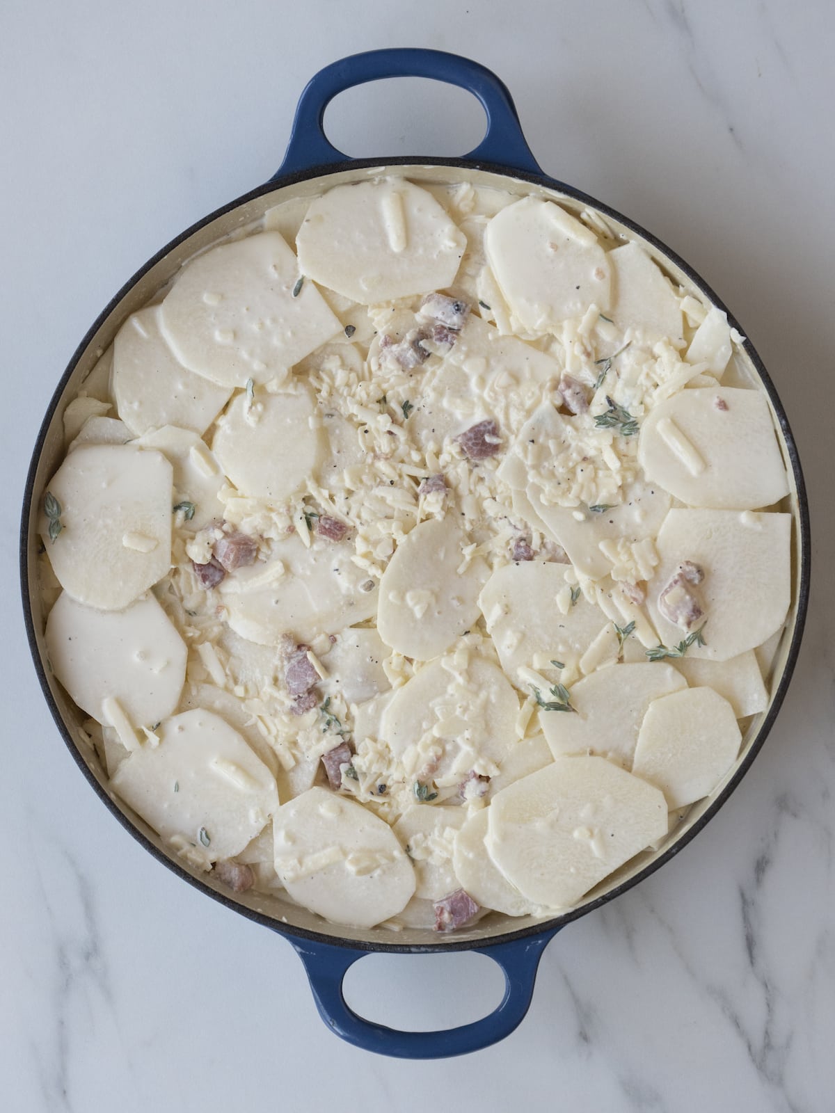 A blue round dutch oven with the potatoes coated in the cream mixture layered in circles, tightly packed.