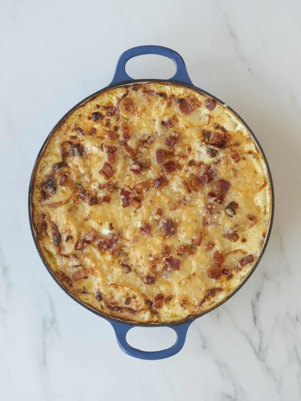 A blue round dutch oven with the potatoes au gratin, topped with cheese and pancetta, baked and ready.