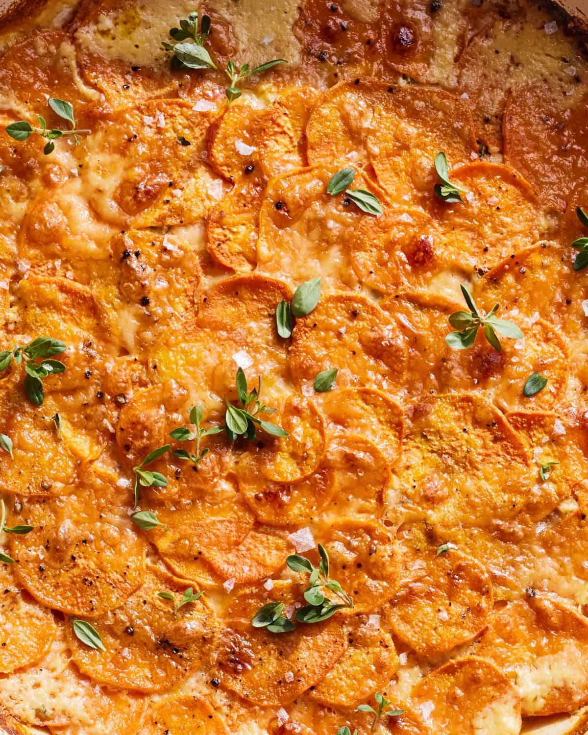 A close up shot of sweet potato gratin garnished with thyme.
