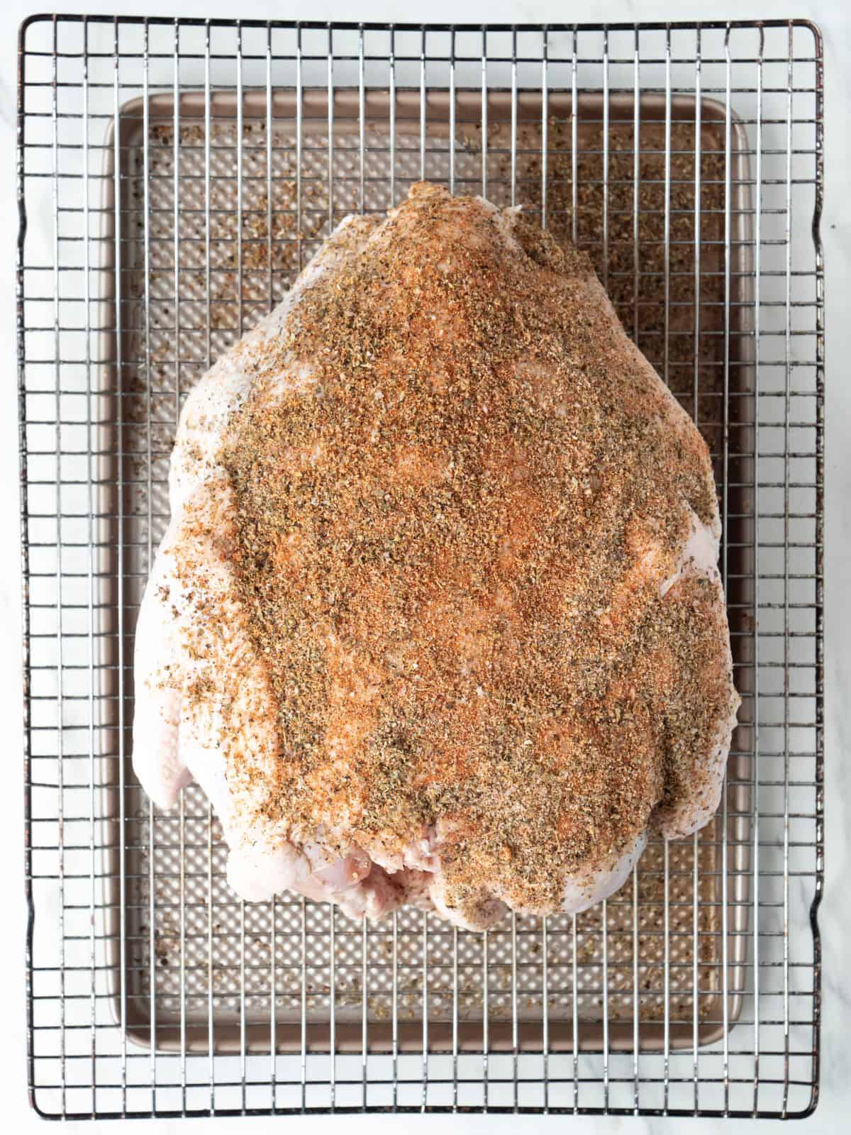 A baking sheet with a wire rack with a turkey on top, partially rubbed with dry brine on its back.