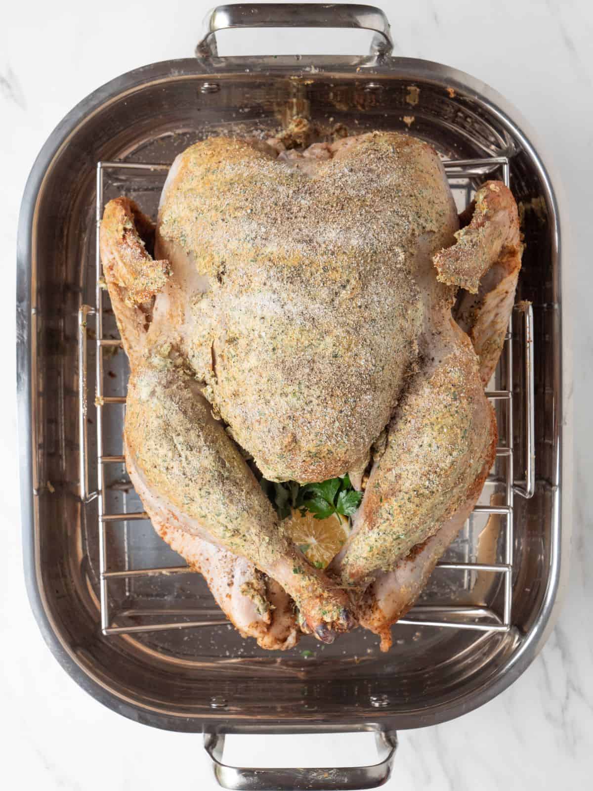 A roasting pan with a wire rack and a whole turkey placed on top, smeared with compound butter, ready to put in the oven for roasting.