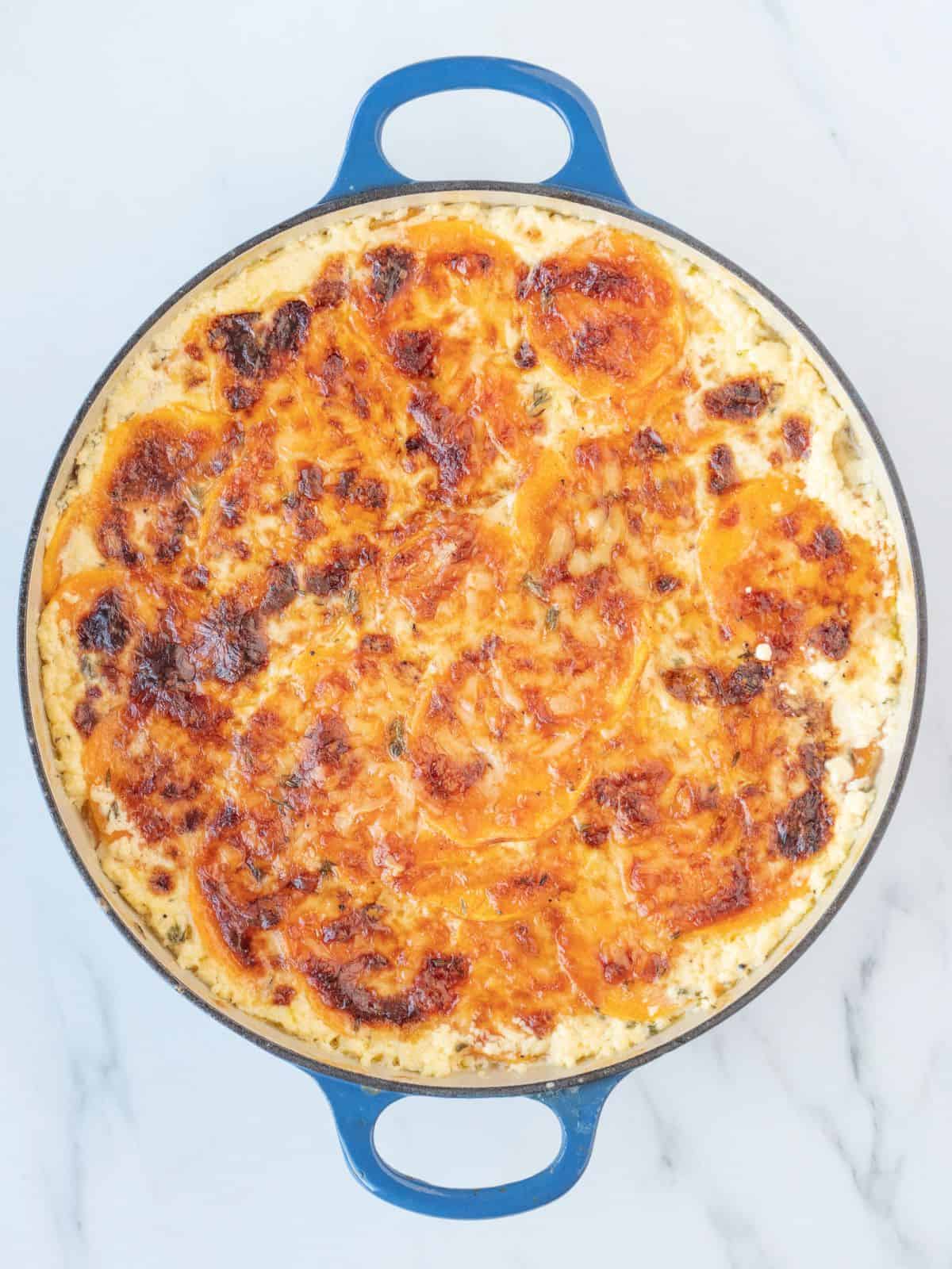 A blue dutch oven with a freshly baked sweet potato gratin.
