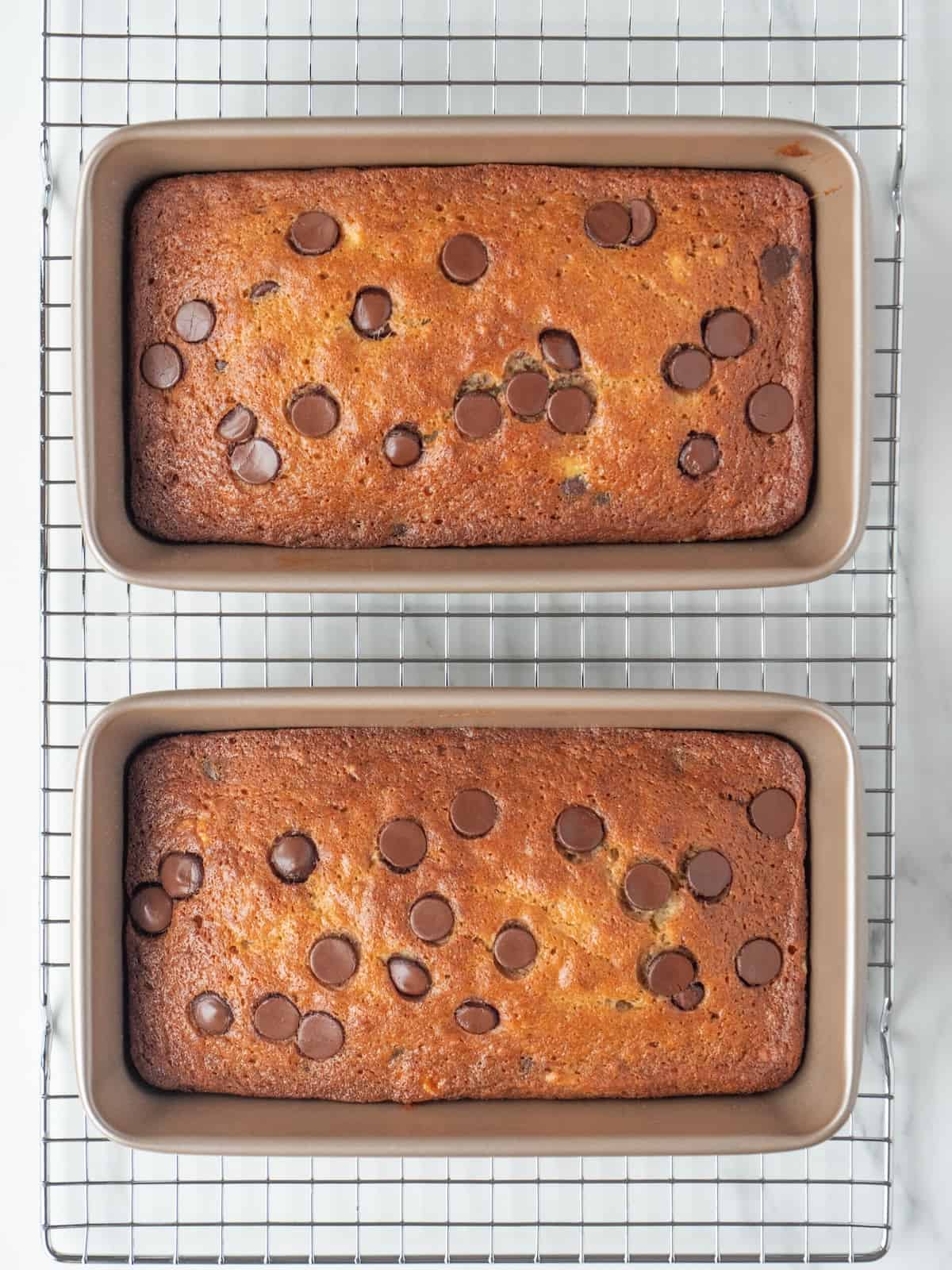 Two 9x5 loaf pans of chocolate chip banana bread, baked and fresh out of the oven placed on a wire rack. 