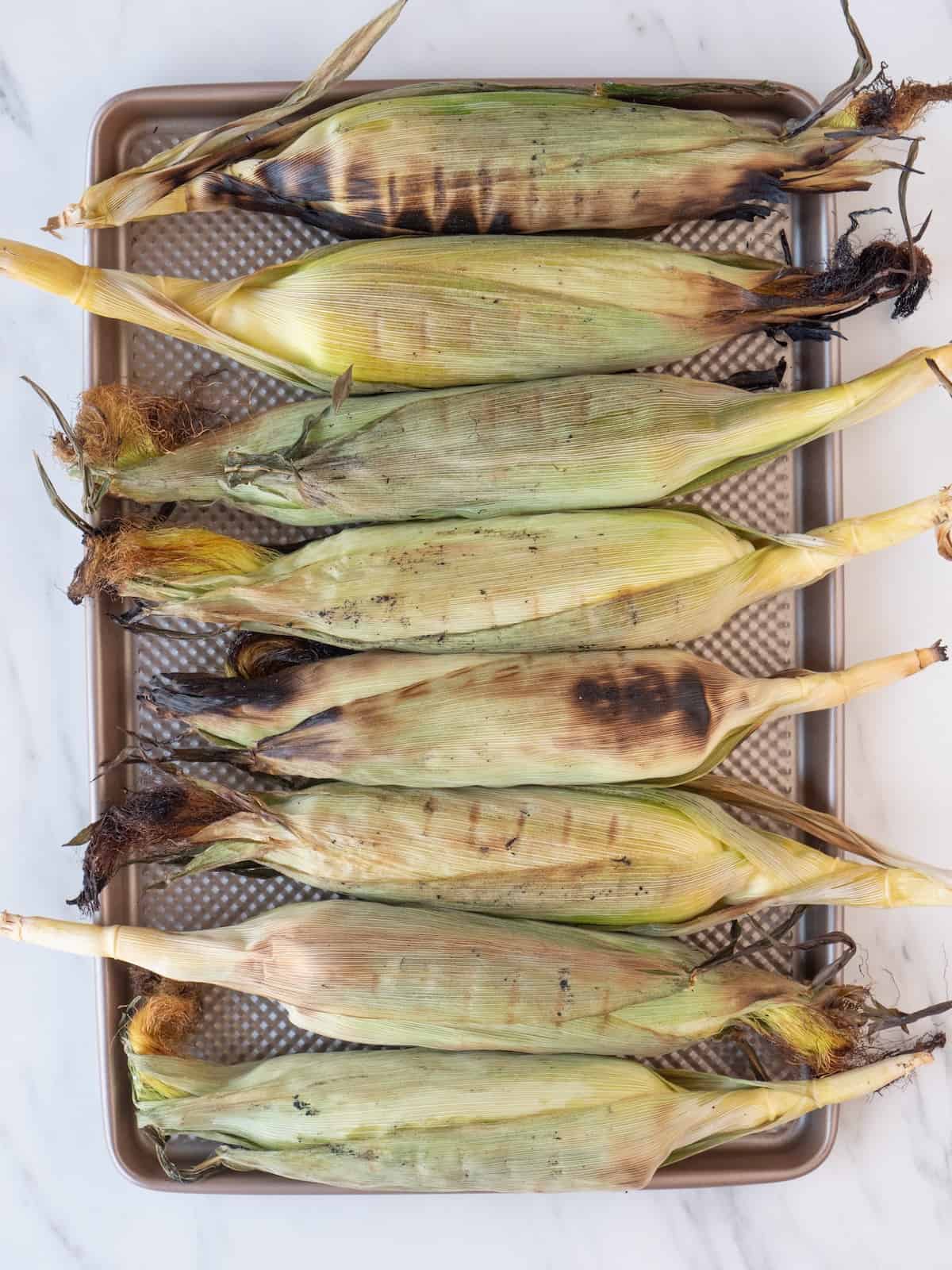 A sheet pan with 8 corn on the cobs with husks grilled, with char and grill marks.