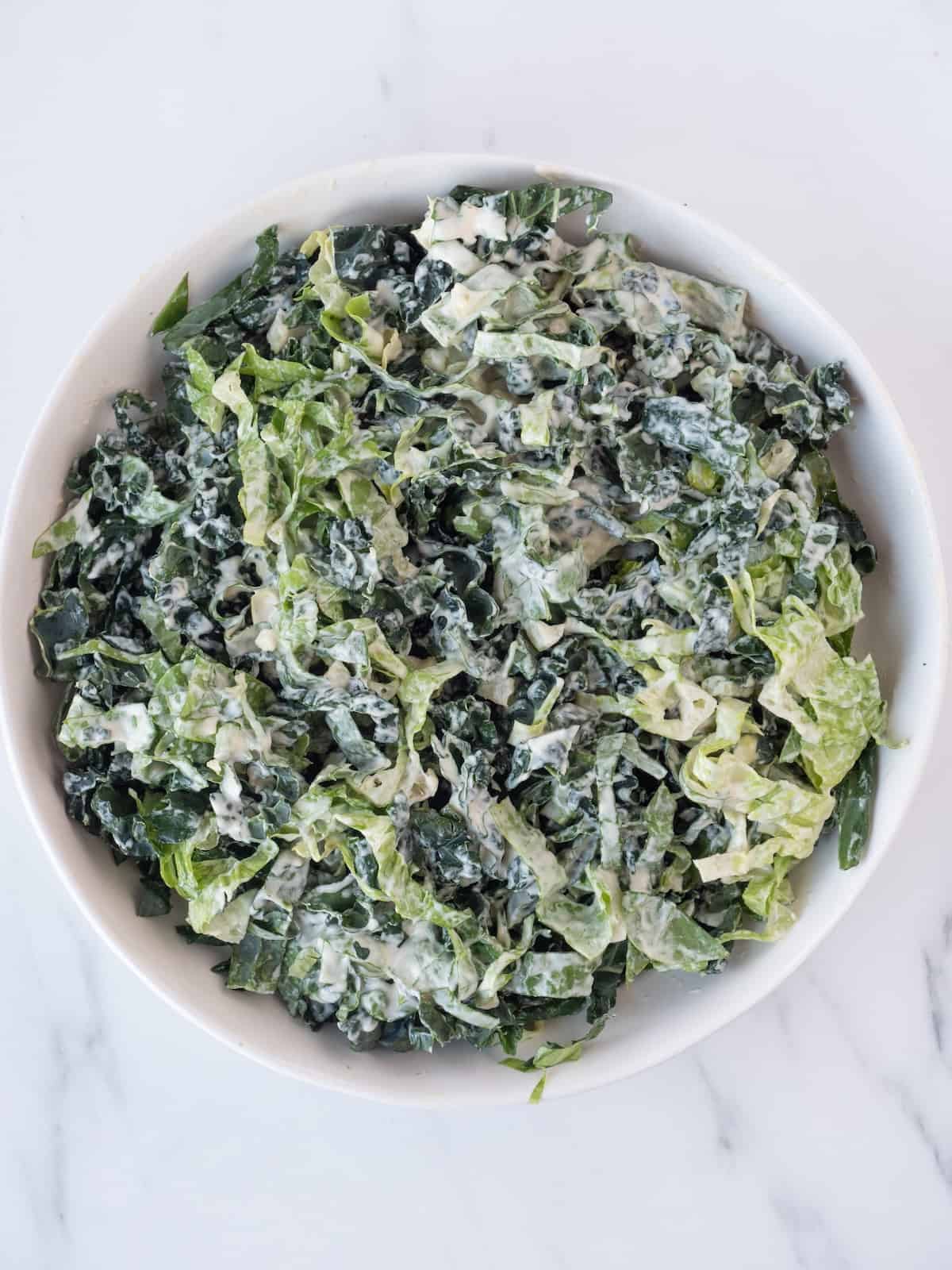 A low bowl with shredded lettuce and kale, tossed with caesar dressing.