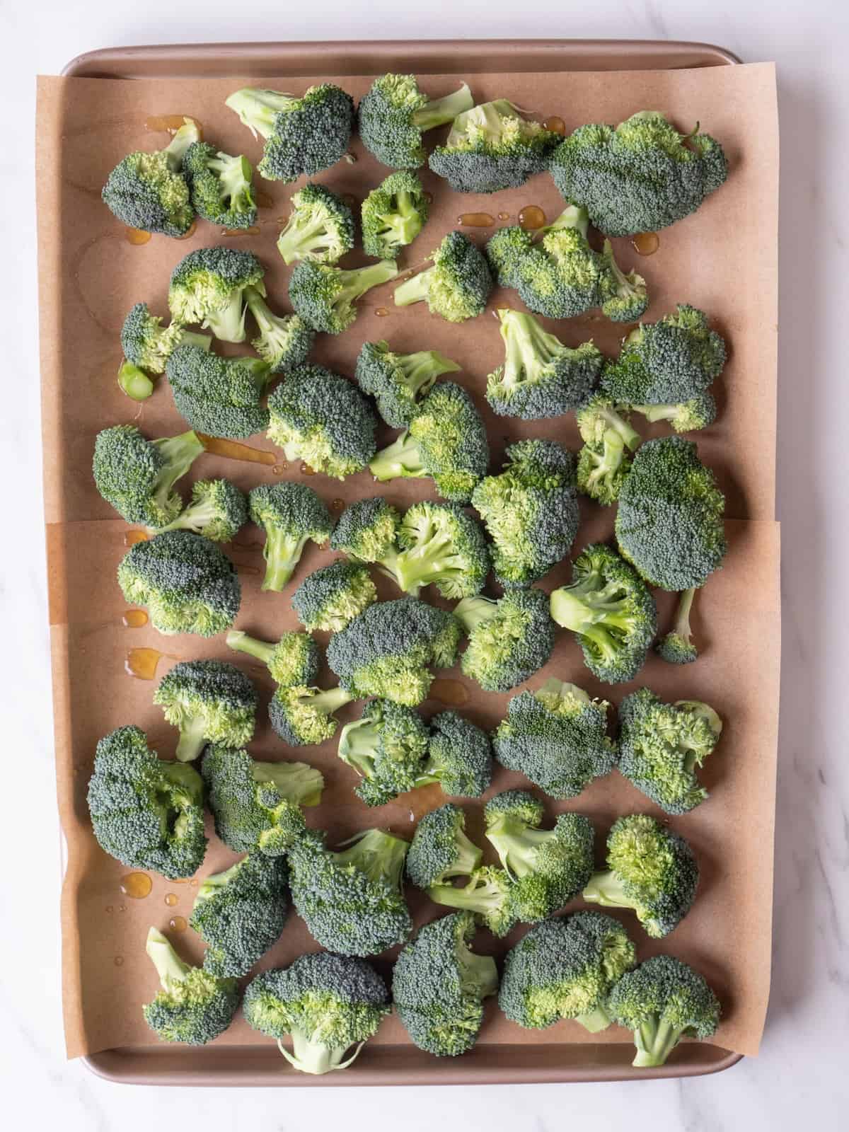 A parchment-lined baking sheet with broccoli florets spread out evenly in a single layer.