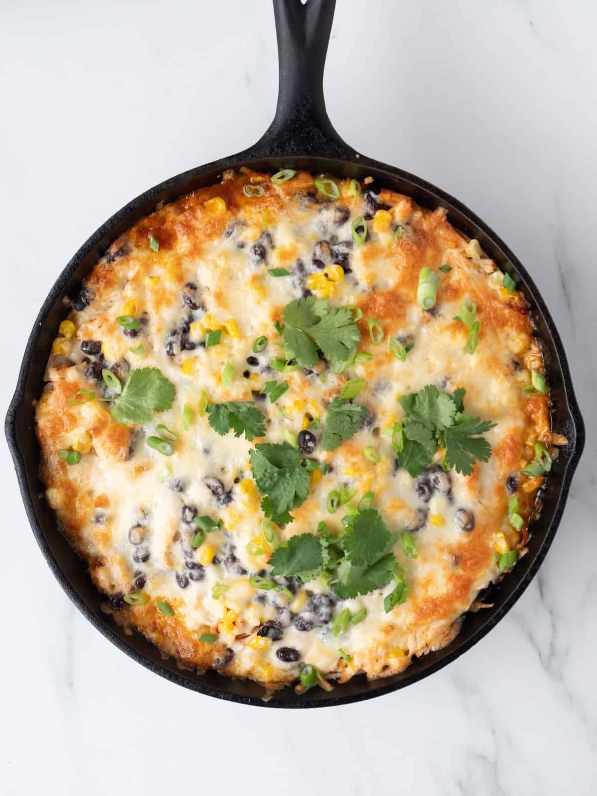 A skillet with chipotle chicken enchilada bake freshly baked and out of the oven, garnished with cilantro and green onions.