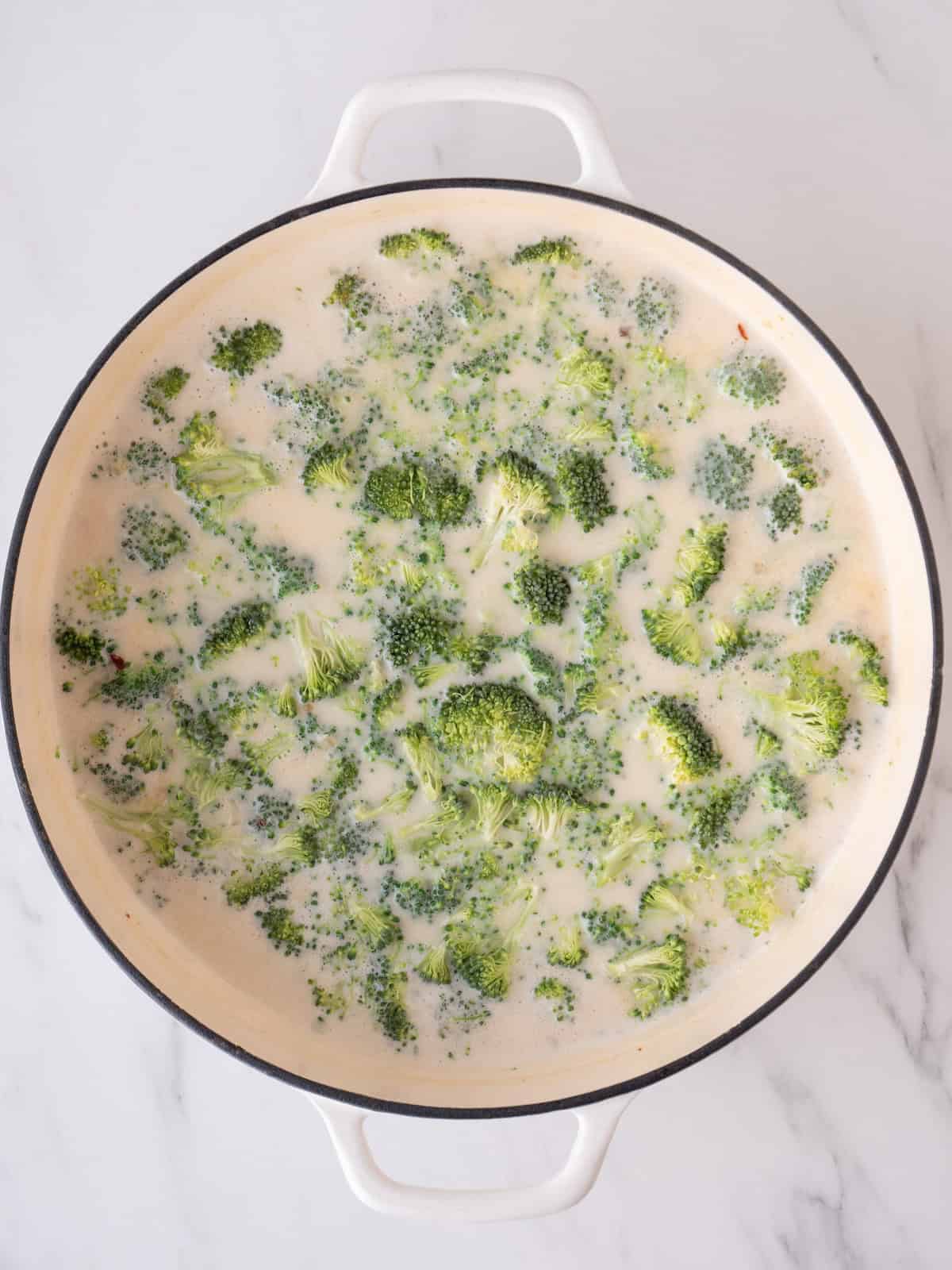 A dutch oven with simmering soup base consisting of broth and cream, and broccoli florets just added.