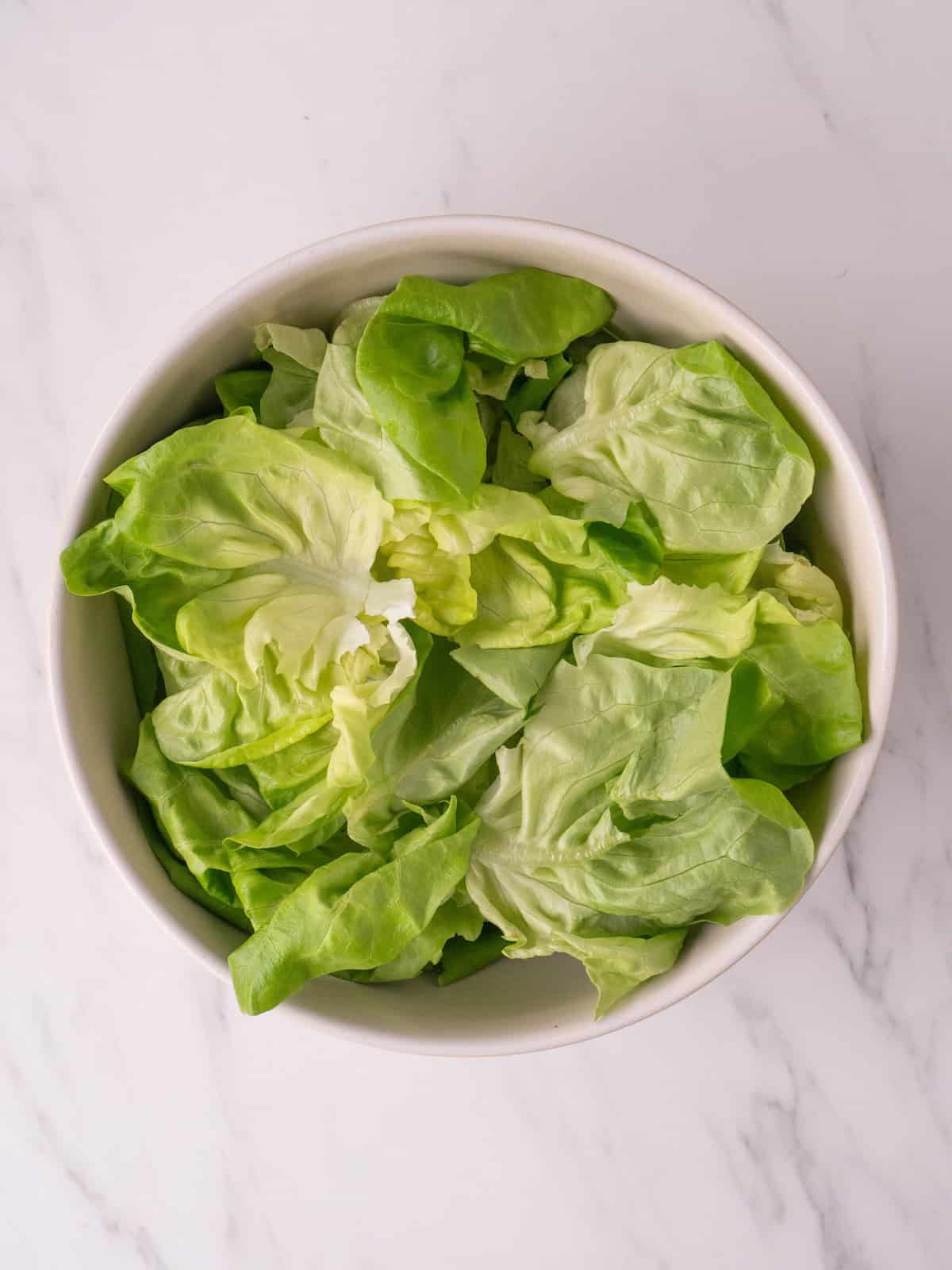 A bowl with butter lettuce in it.
