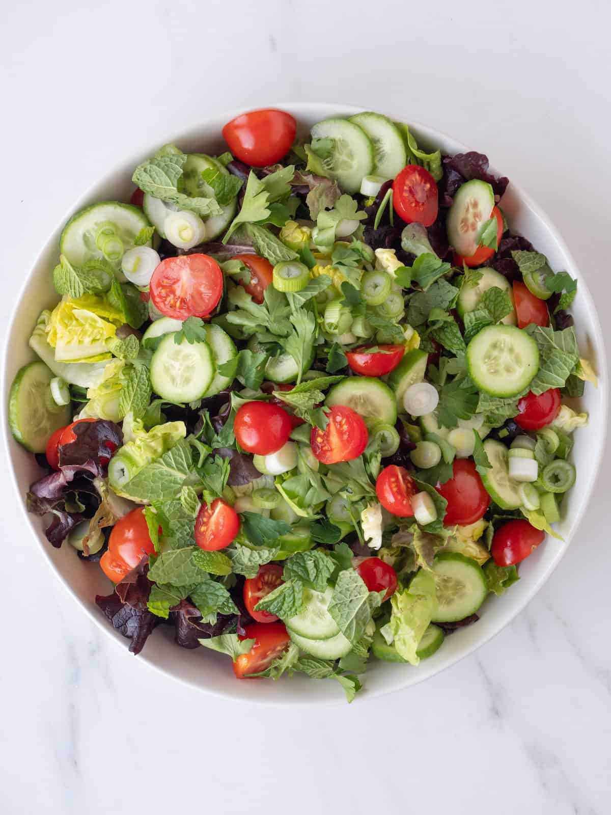 A bowl with chopped lettuce, green onions, tomatoes, cucumber, mint, and parsley.
