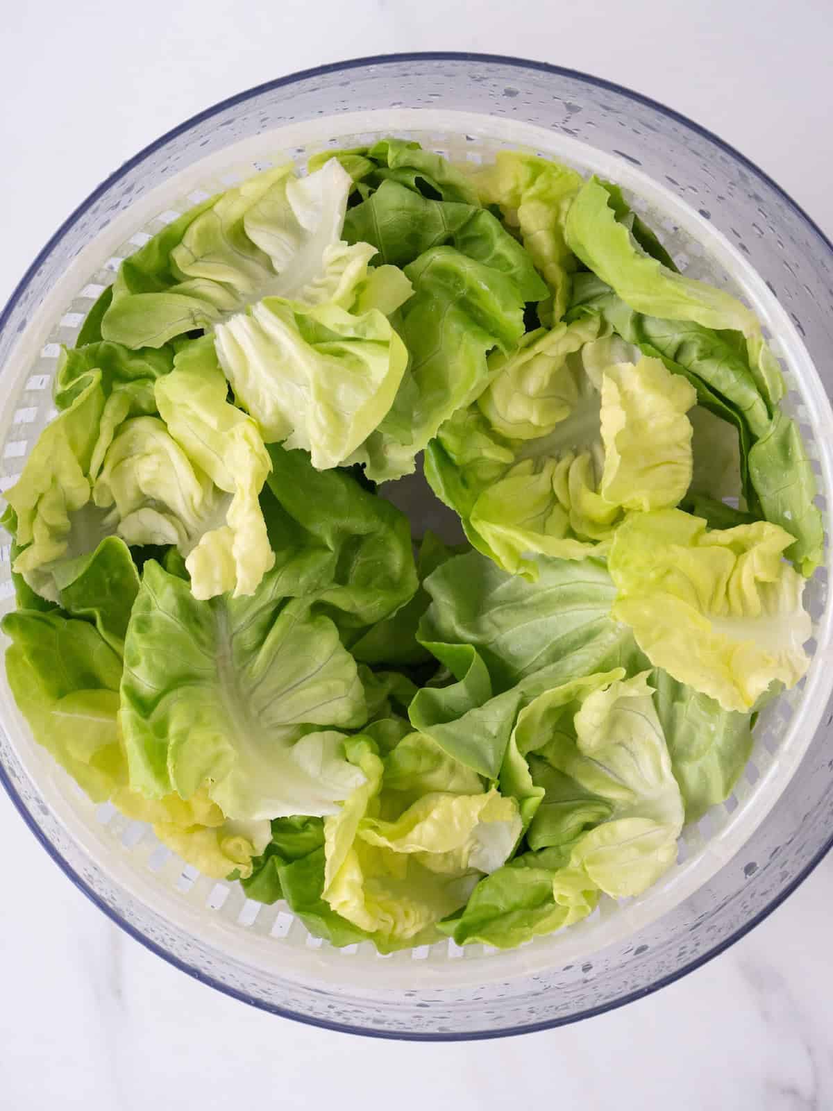 A large bowl holding a basket, like a salad spinner, with rinsed butter lettuce leaves.