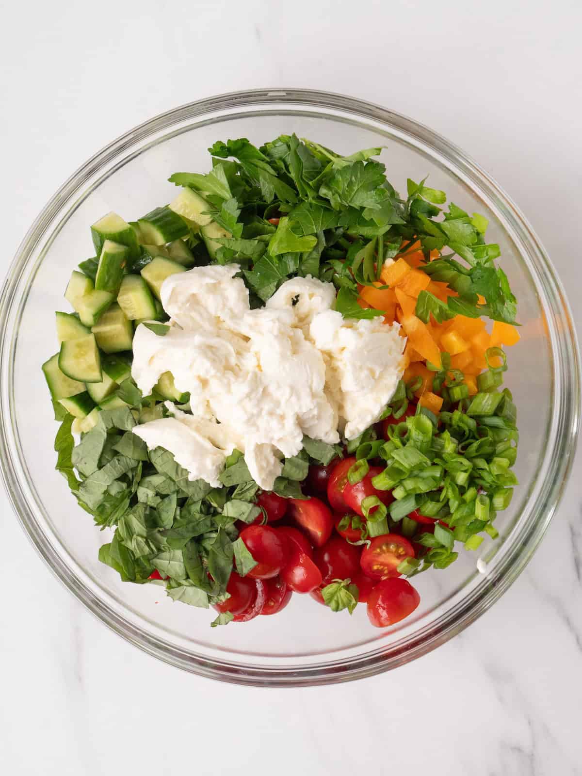 A large mixing bowl with chopped tomatoes, cucumbers, bell pepper, scallions, basil and parsley topped with burrata torn into pieces to make a burrata chopped salad.