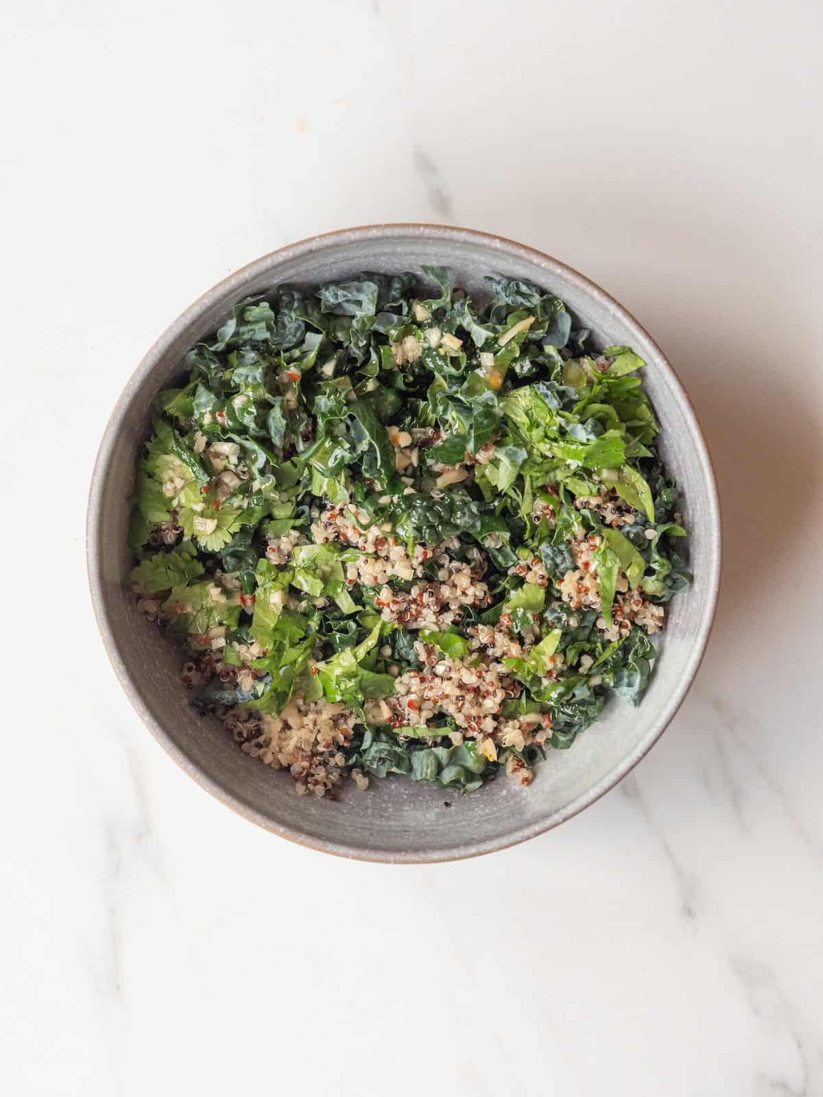 A bowl with shredded lettuce mixed with vinaigrette.