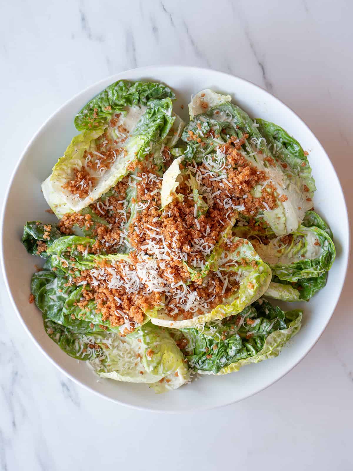 Fresh romaine with cheese and croutons