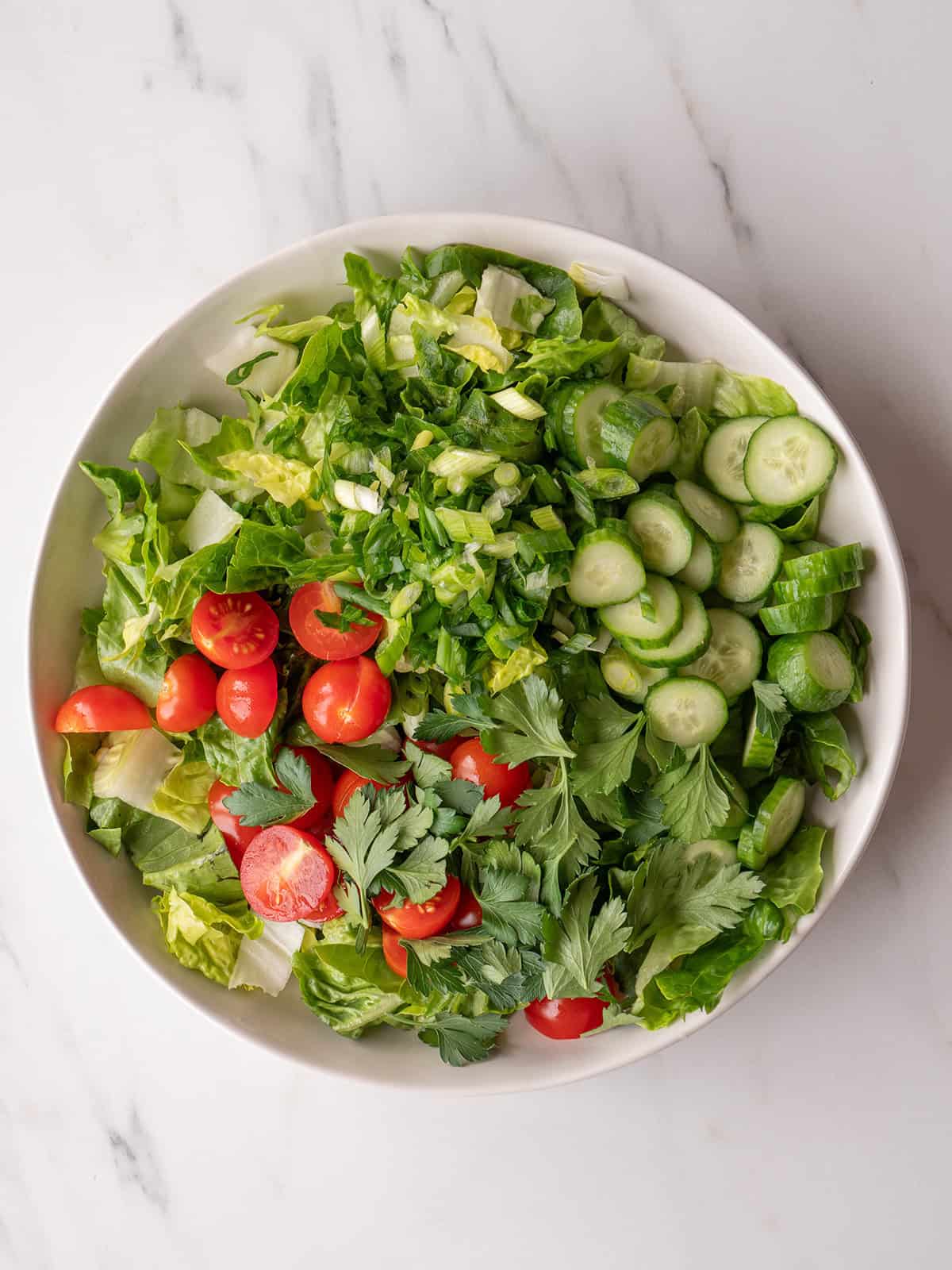 Fresh salad with tomatoes and greens