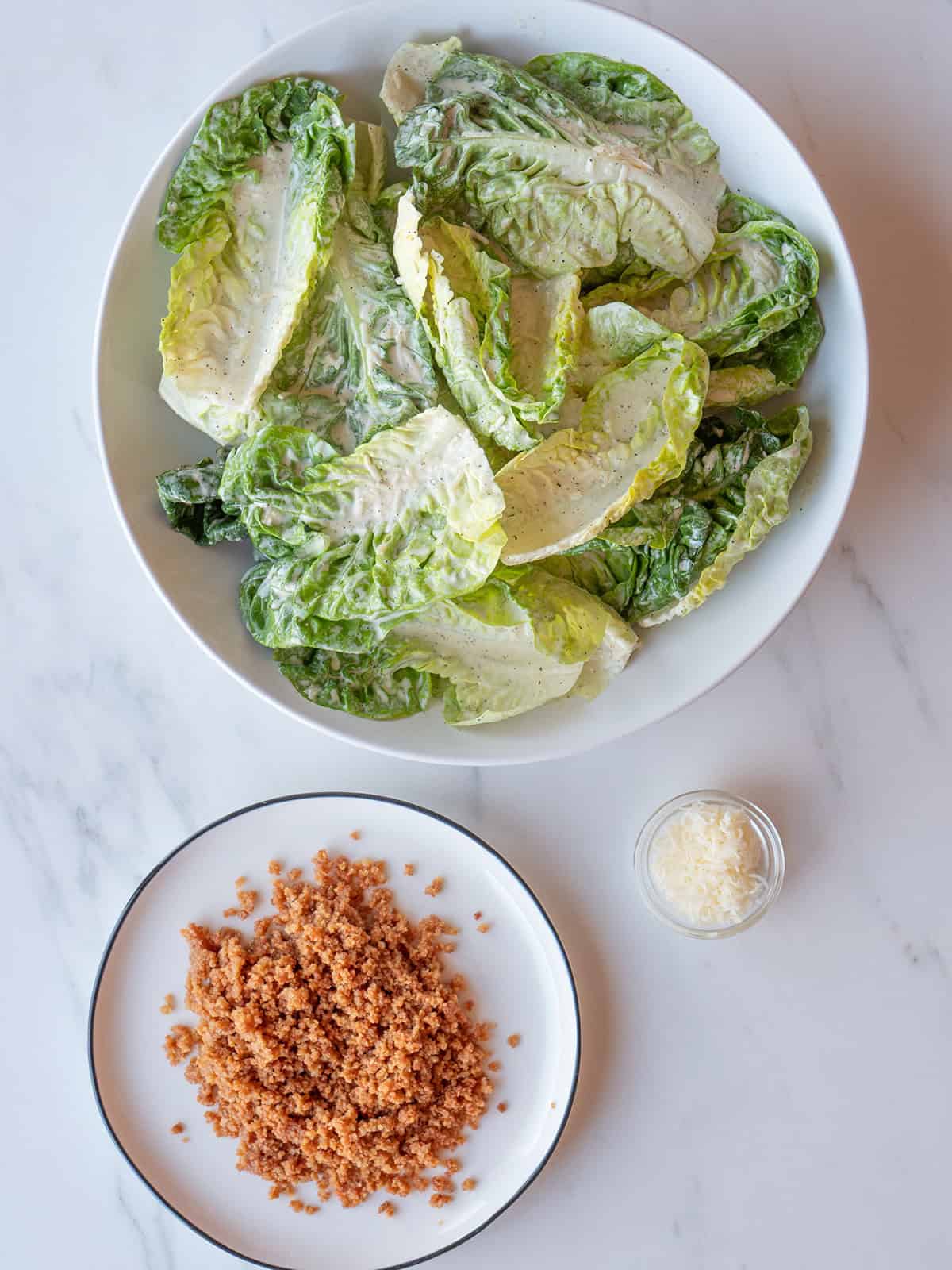Fresh romaine lettuce with toppings