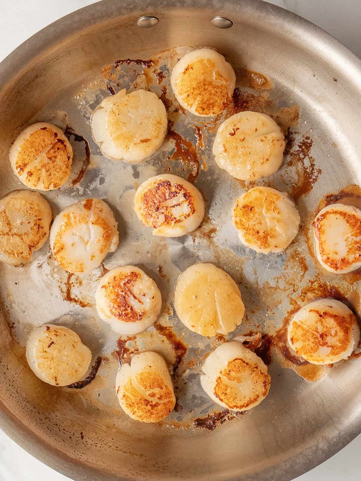 Seared scallops in a skillet