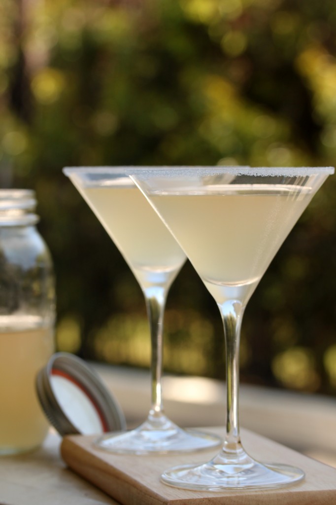 Balsamic Lemonade + Vodka Cocktail