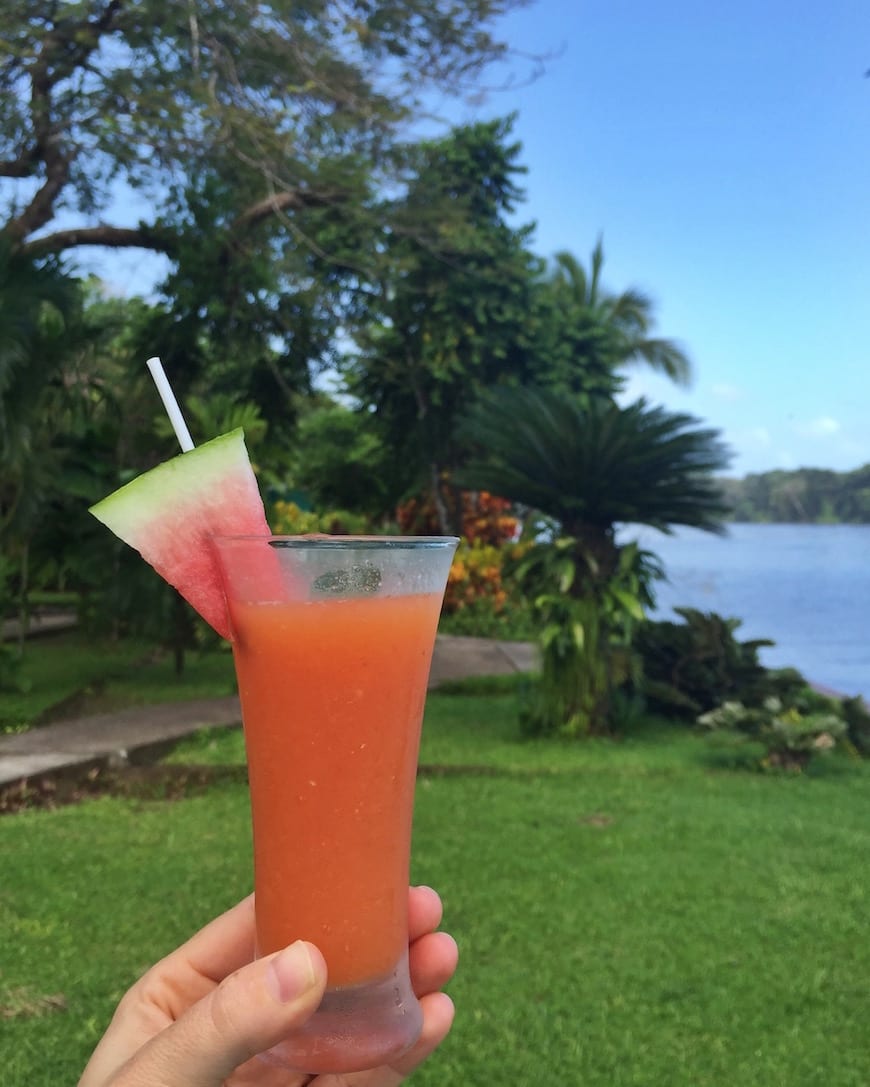 Costa Rica Watermelon Juice