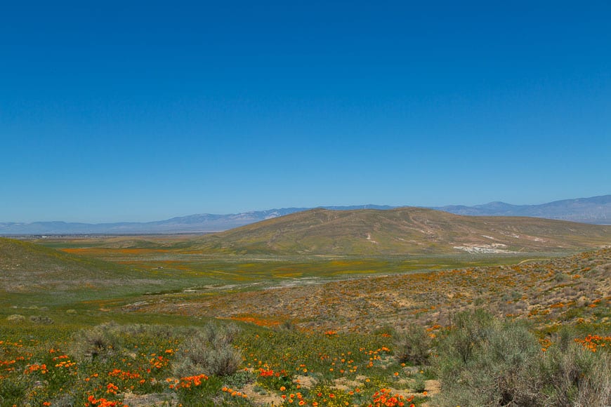 Antelope Valley California