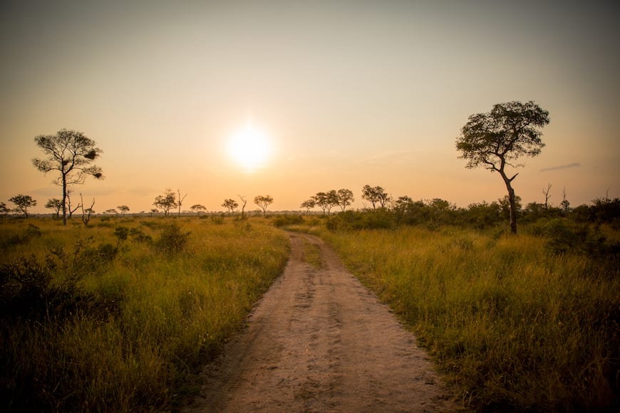 Gaby's Guide to Safari (South Africa + Botswana)