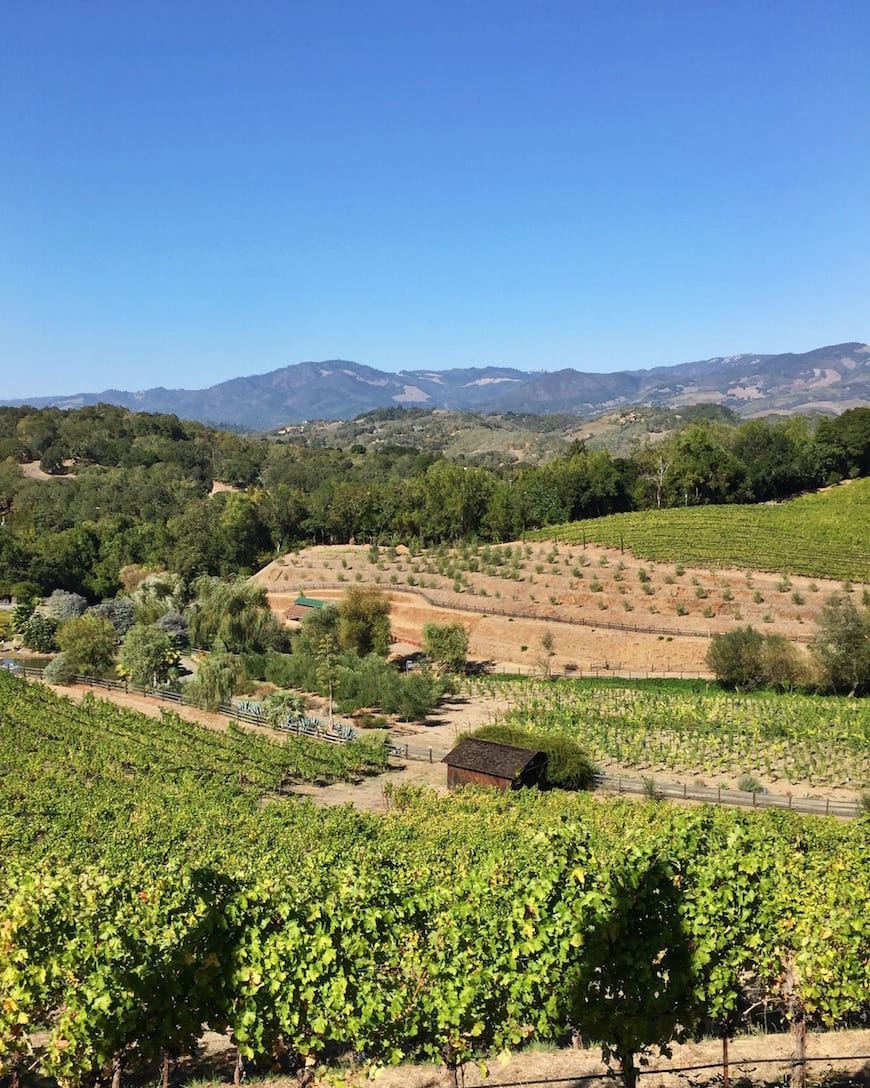 Gaby’s Guide to Sonoma
