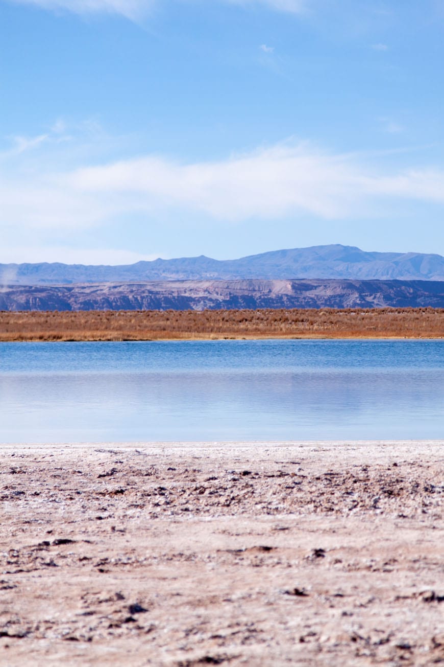 Salt Flats, Atacama Desert