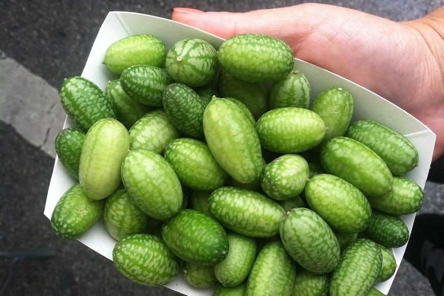 Mouse Melon Cucumbers